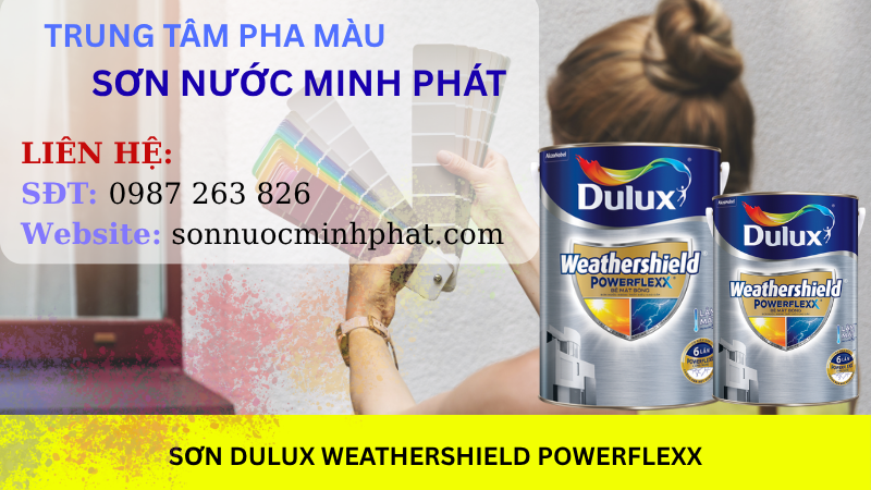 SON_DULUX_WEATHERSHIELD_POWERFLEXX