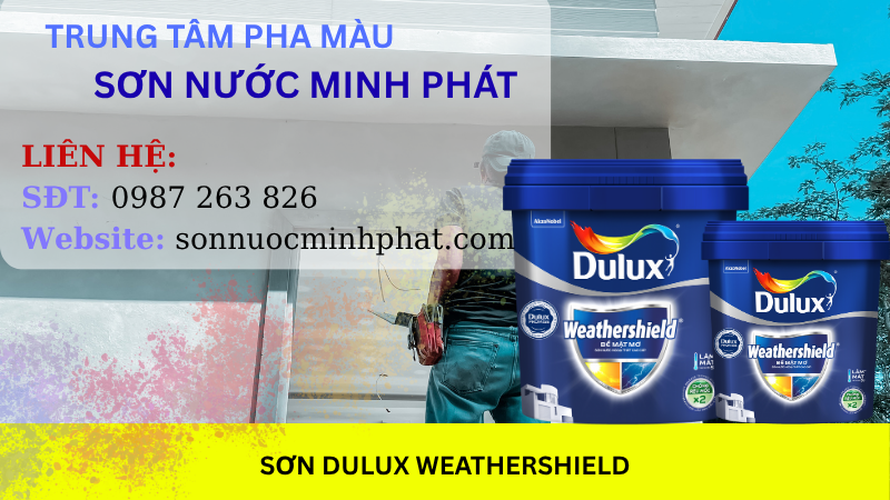 SON_DULUX_WEATHERSHIELD